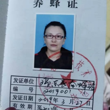东北纯椴树成熟蜜