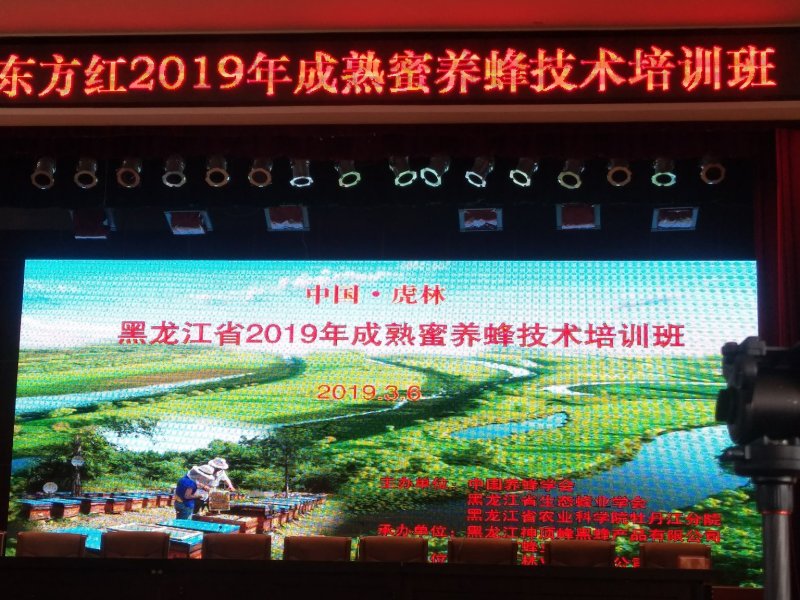 东北纯椴树成熟蜜