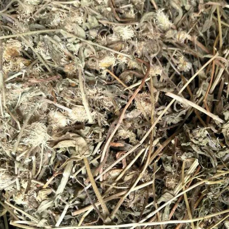 灯盏花灯盏草灯盏细辛正宗云南灯盏花中药材灯盏花