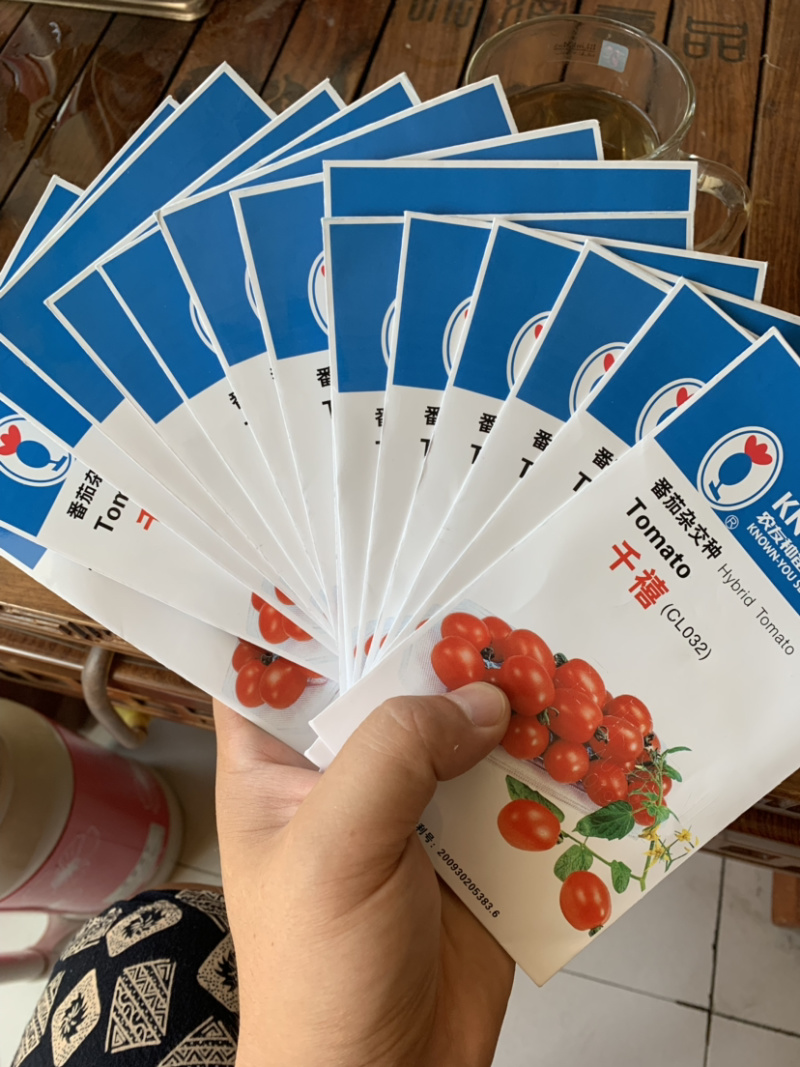 千禧小番茄果苗、抗病毒贝贝小番茄苗、迷彩小番茄苗