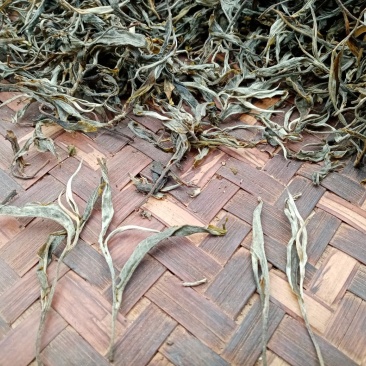 布朗山生茶山头纯料。