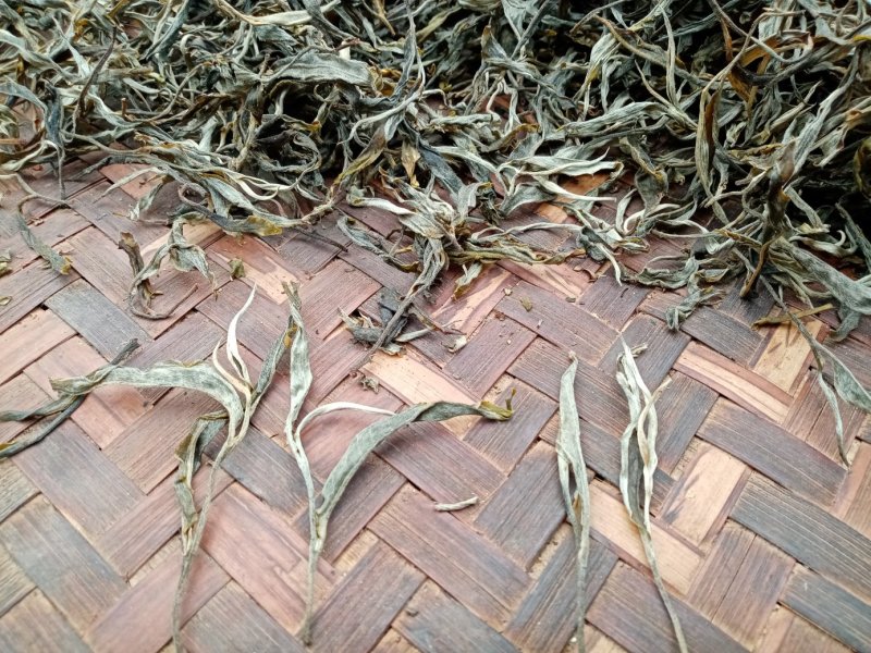 布朗山生茶山头纯料。