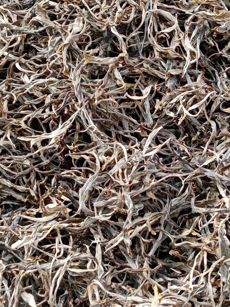布朗山生茶山头纯料。