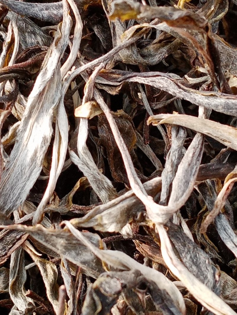 布朗山生茶山头纯料。