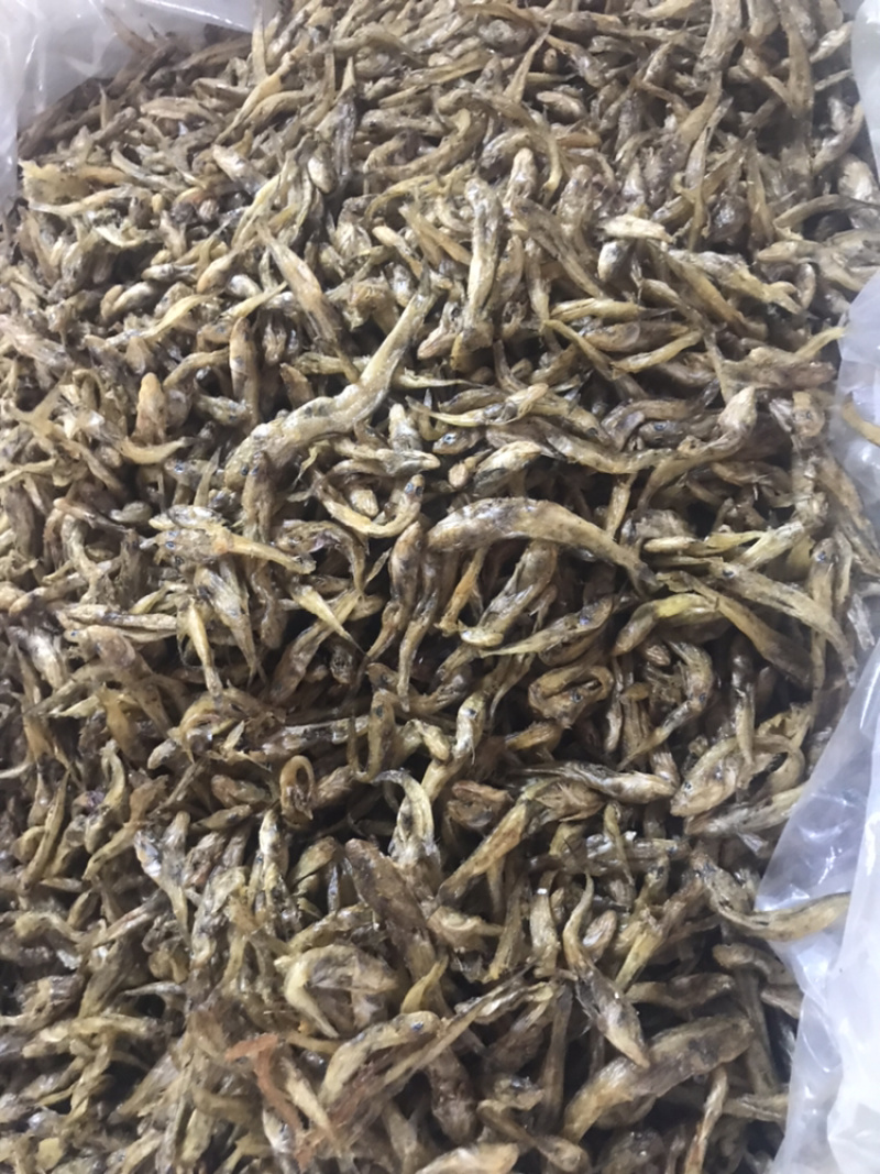 沙沟鱼狗头鱼油炸烘干鱼无盐不苦