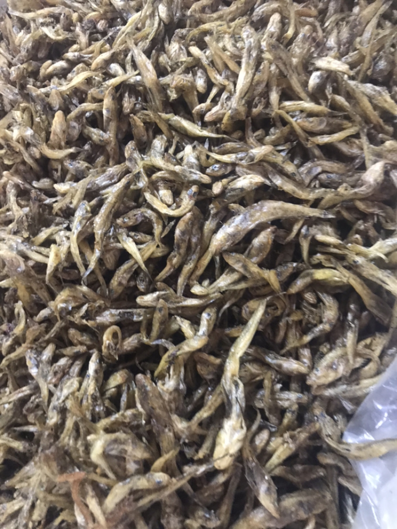 沙沟鱼狗头鱼油炸烘干鱼无盐不苦
