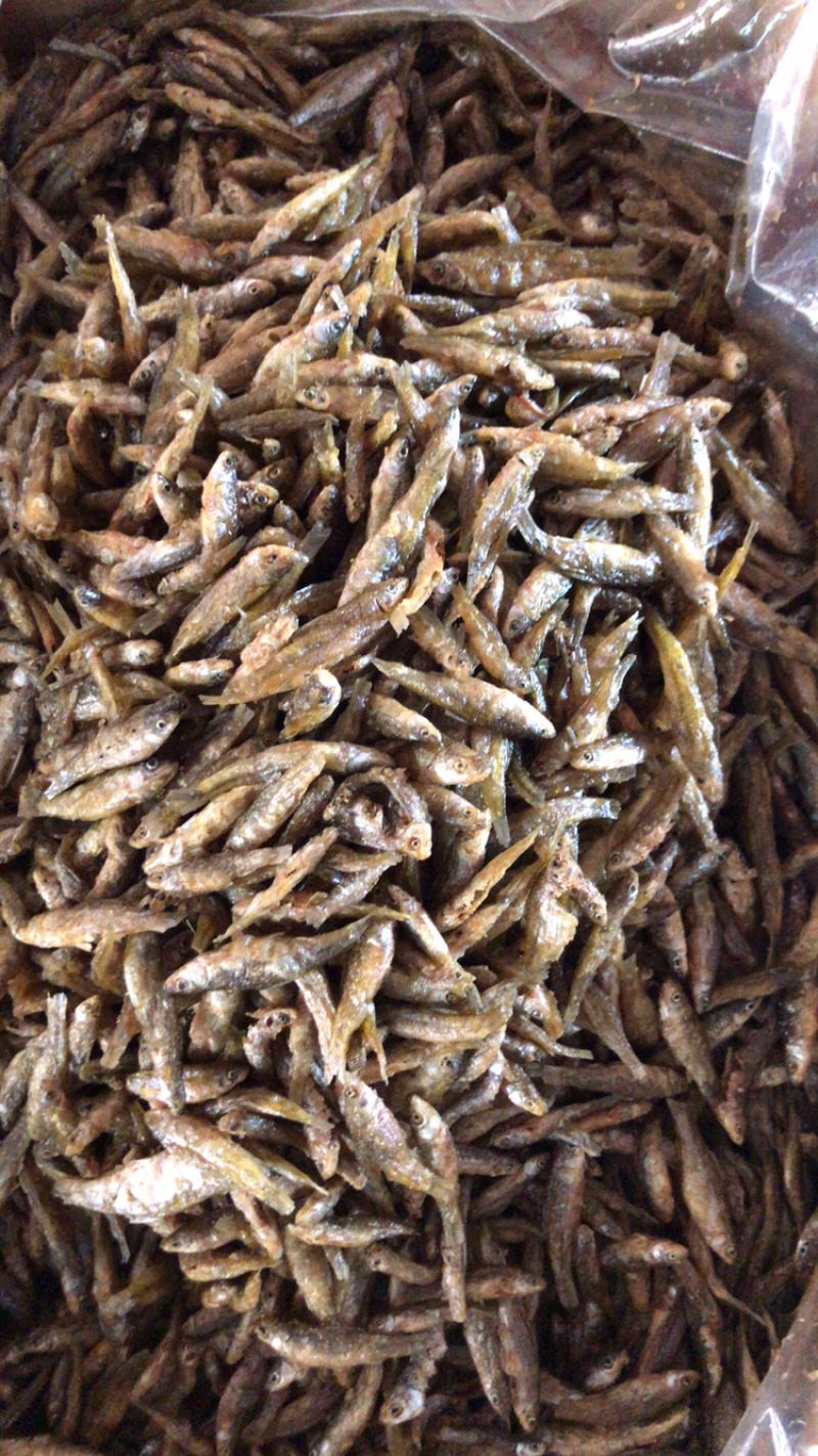 麦穗鱼忍子鱼春鱼油炸鱼无盐鱼干不苦不破肚
