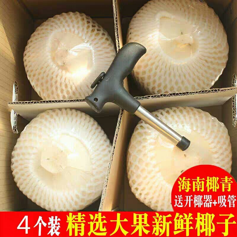 大量批发4个装的椰青