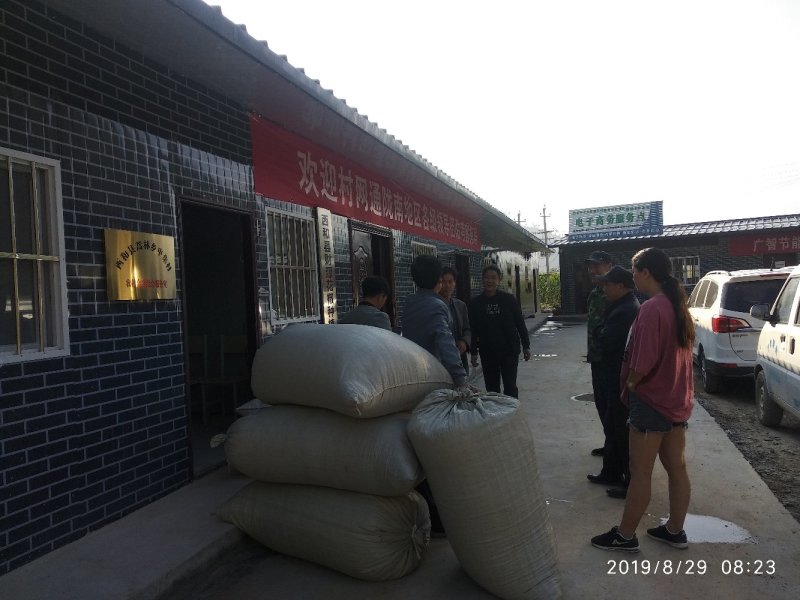 甘肃大红袍伏椒（香麻椒）