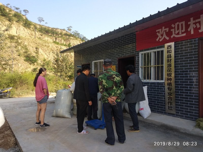 甘肃大红袍伏椒（香麻椒）