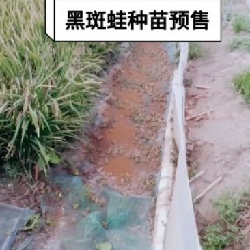 水产