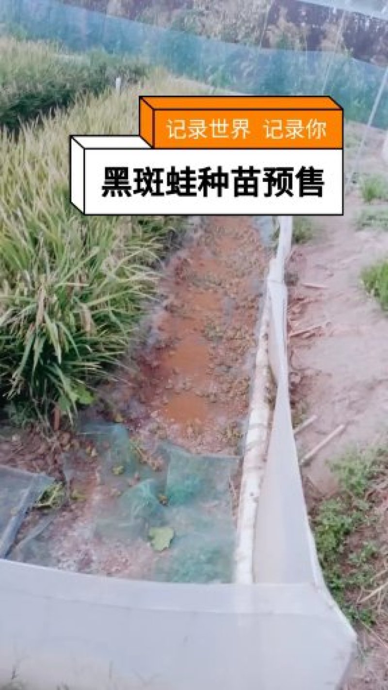 水产