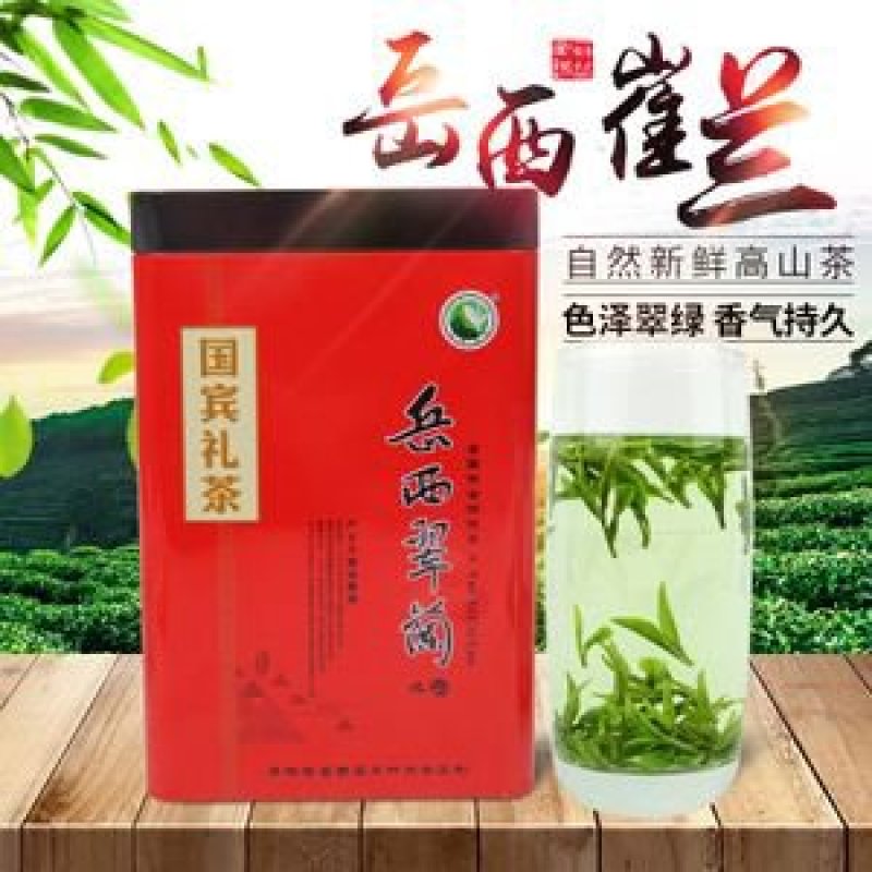 岳西翠兰高山云雾茶大别山野生茶礼品盒包装