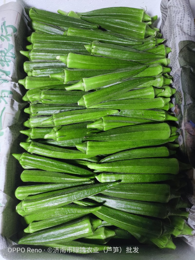 优质水果秋葵长期供应