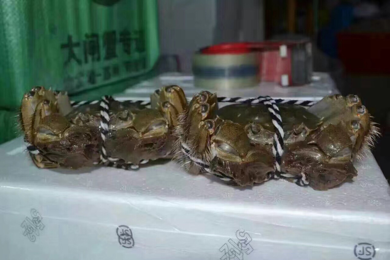 兴化大闸蟹销售