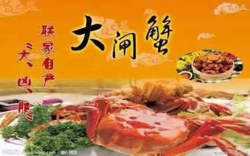 兴化大闸蟹销售