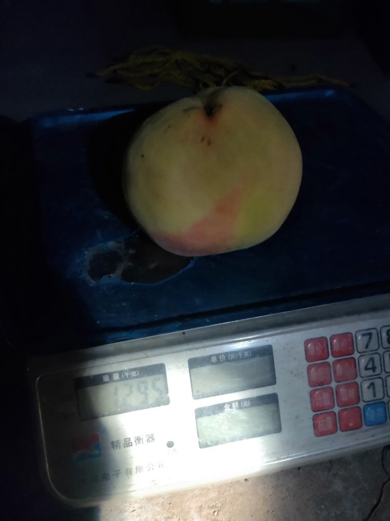 金秋王桃