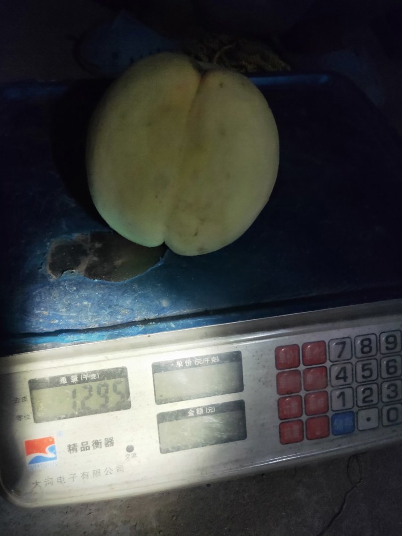 金秋王桃