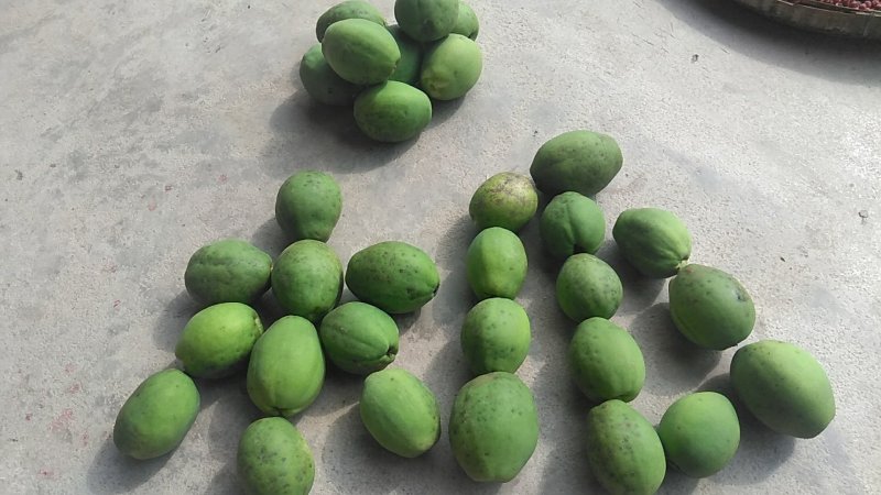 秦岭木瓜干中药材精选药用无硫皱皮木瓜片块500g克包邮