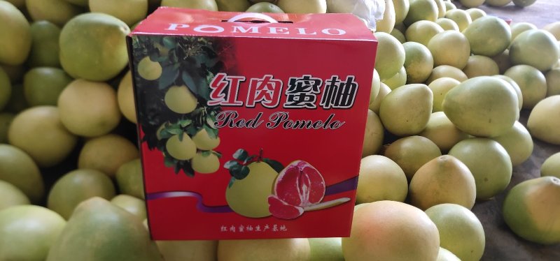 红心柚/三红柚/蜜柚9.5斤包邮一件代发琯溪蜜柚