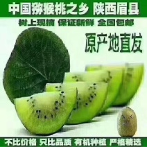 徐香猕猴桃二十六元一件代发五斤装