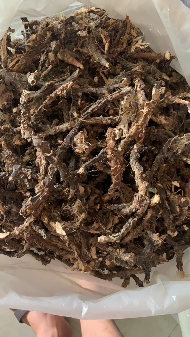 石菖蒲★野生当地石菖蒲★每天可供应2000鲜货