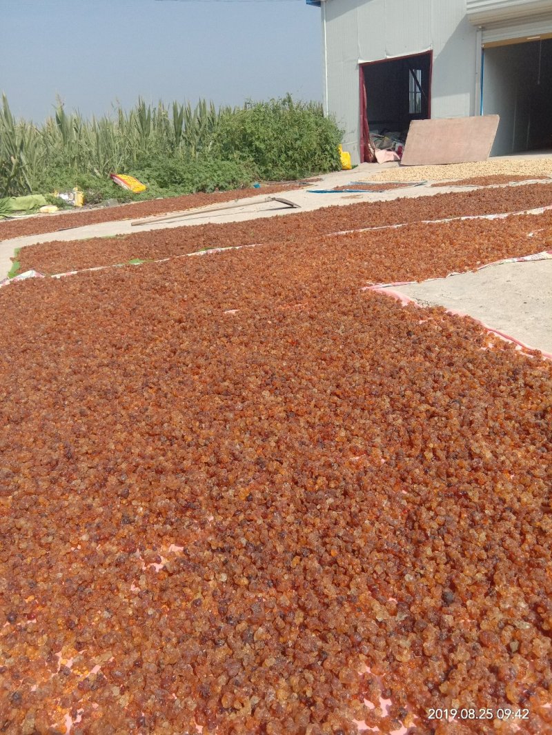 桃胶