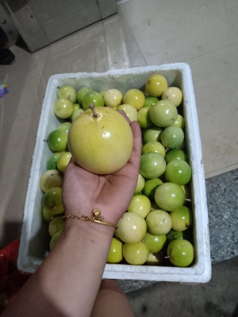黄金百香果