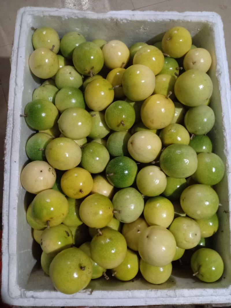黄金百香果