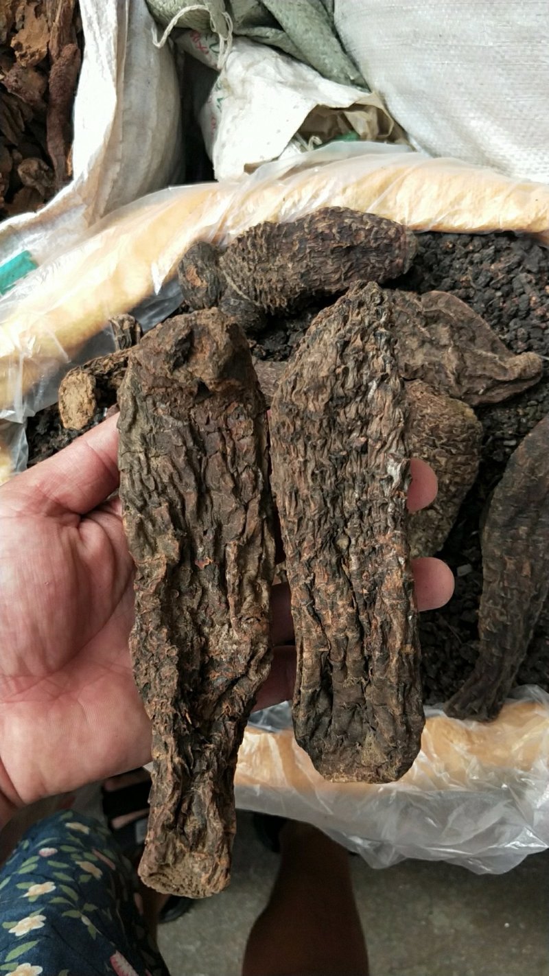 正品新疆野生大云生肉苁蓉500g