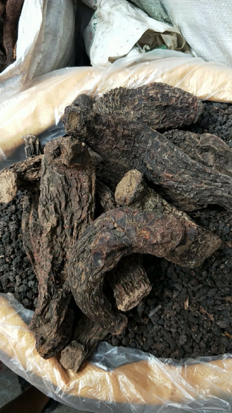 正品新疆野生大云生肉苁蓉500g