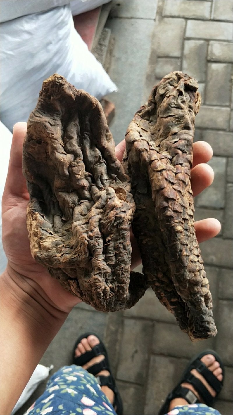 正品新疆野生大云生肉苁蓉500g