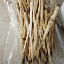 内蒙北沙参500克包邮野生特级沙参个干货煲汤泡酒料