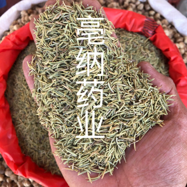 迷迭香优质大货花草茶大叶小叶1公斤起批