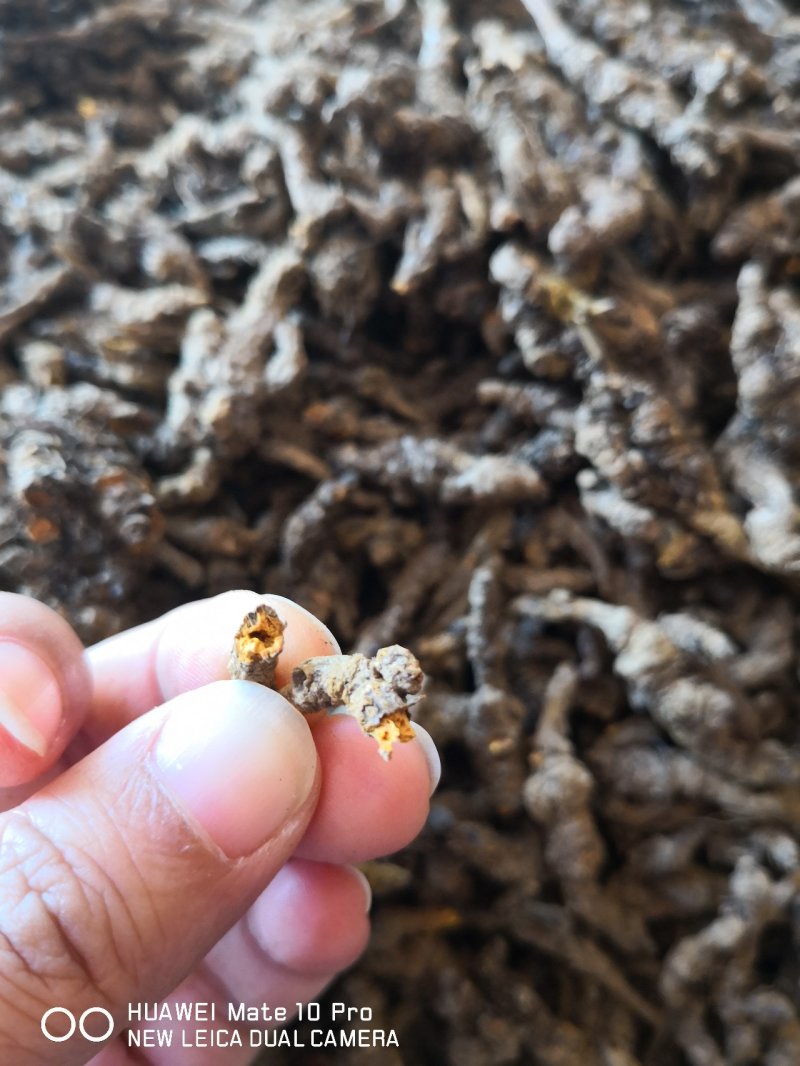 黄连各种规格四川干货新货无杂2斤起包邮
