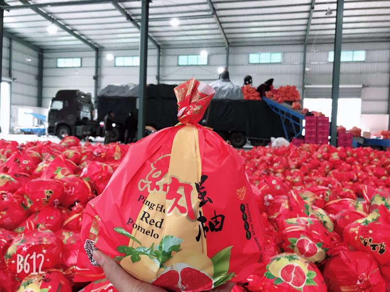 红肉蜜柚😍原产地1.8斤起步坚持品质、万众热捧😘