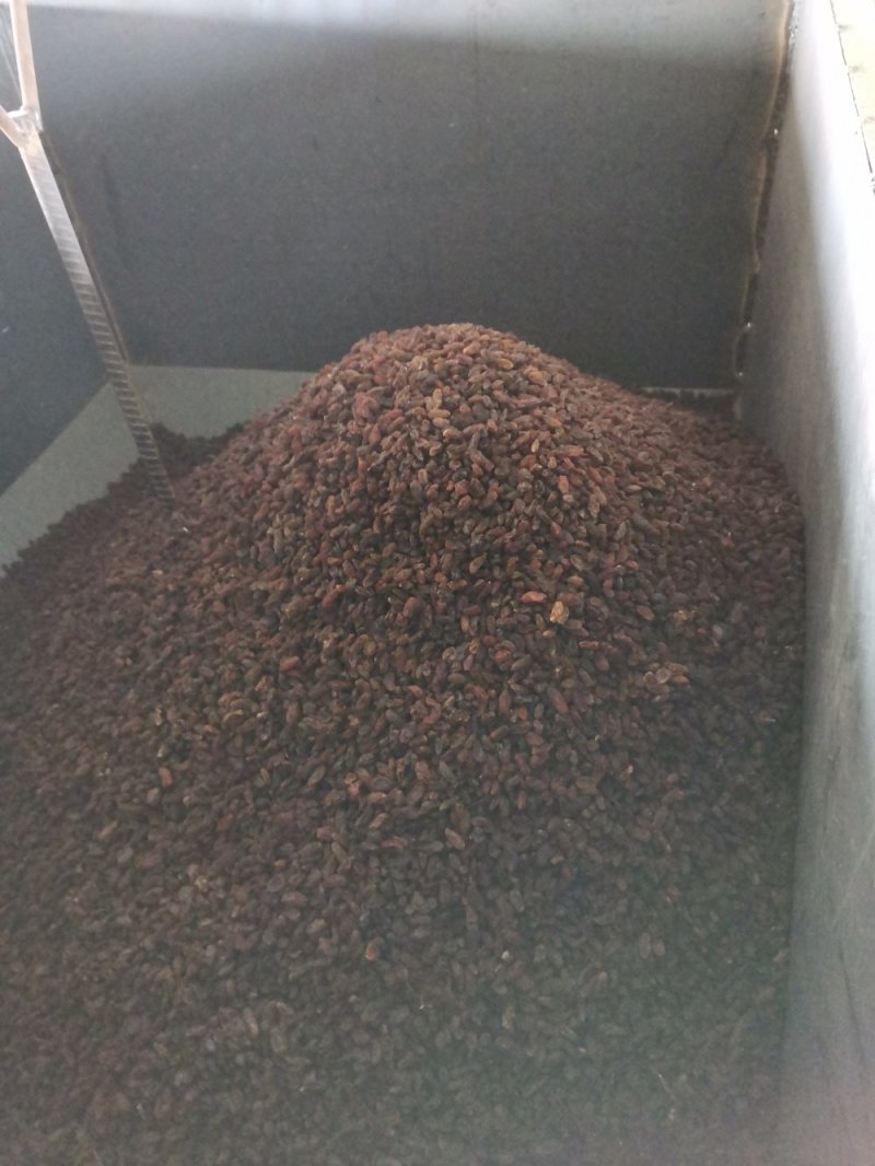 玫瑰红葡萄干（食品添加用）面包，奶茶，果冻等都可添加