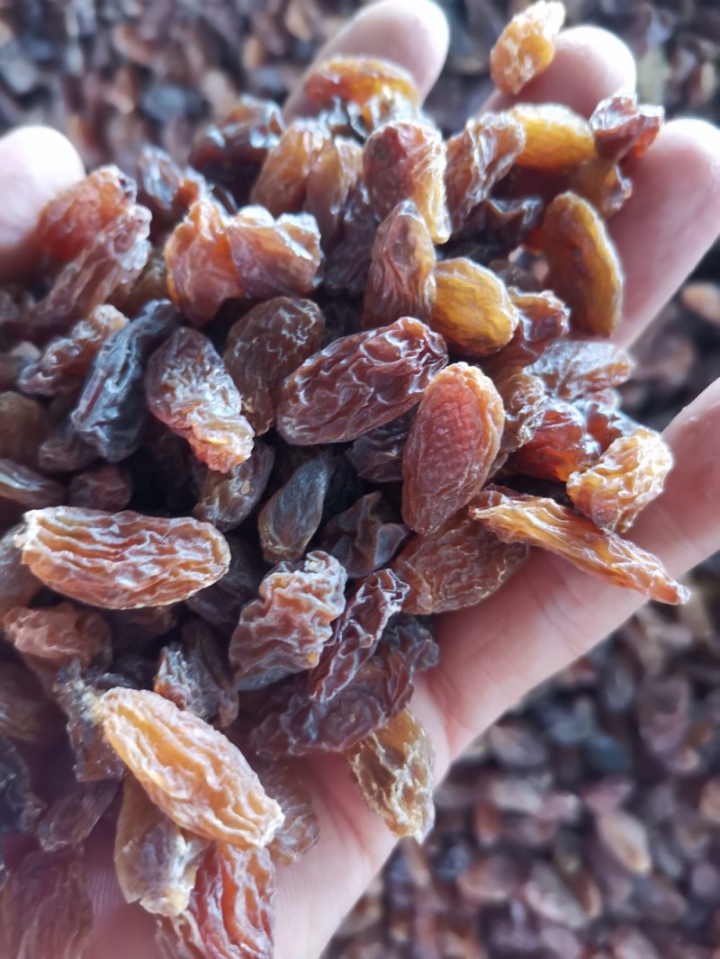 玫瑰红葡萄干（食品添加用）面包，奶茶，果冻等都可添加