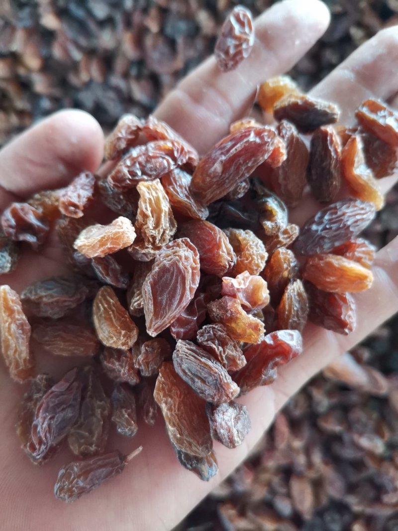 玫瑰红葡萄干（食品添加用）面包，奶茶，果冻等都可添加