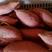 河北烟薯25香甜软糯产地发货量大优惠规格齐全欢迎咨询