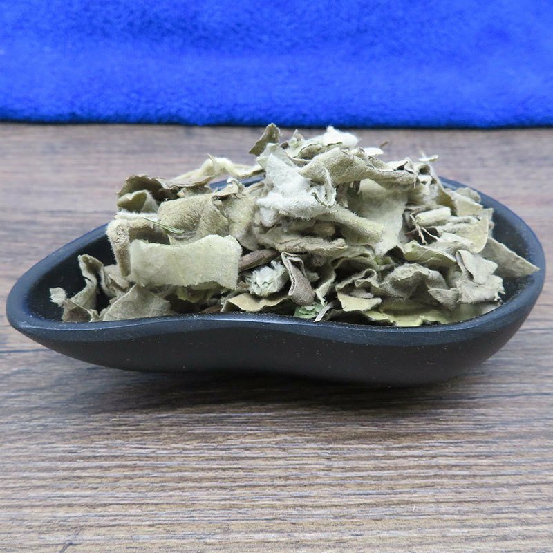 寻骨风寻骨风清骨风猫耳朵兔子耳穿地节寻骨风叶