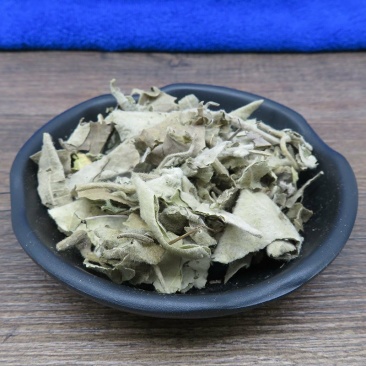 寻骨风寻骨风清骨风猫耳朵兔子耳穿地节寻骨风叶