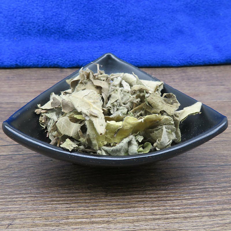 寻骨风寻骨风清骨风猫耳朵兔子耳穿地节寻骨风叶
