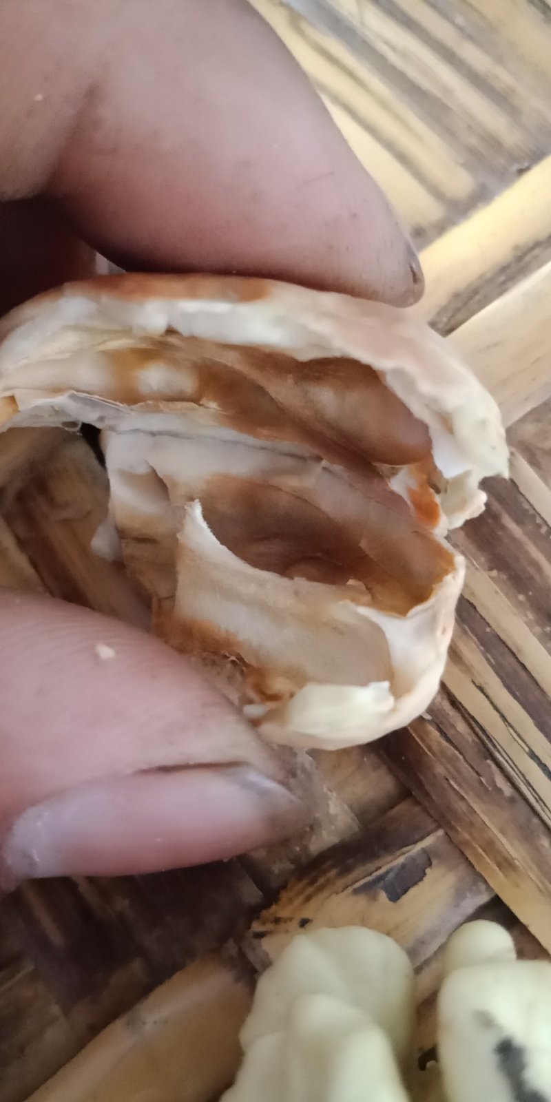 青皮核桃，山里的好货，欢迎大家前来订购