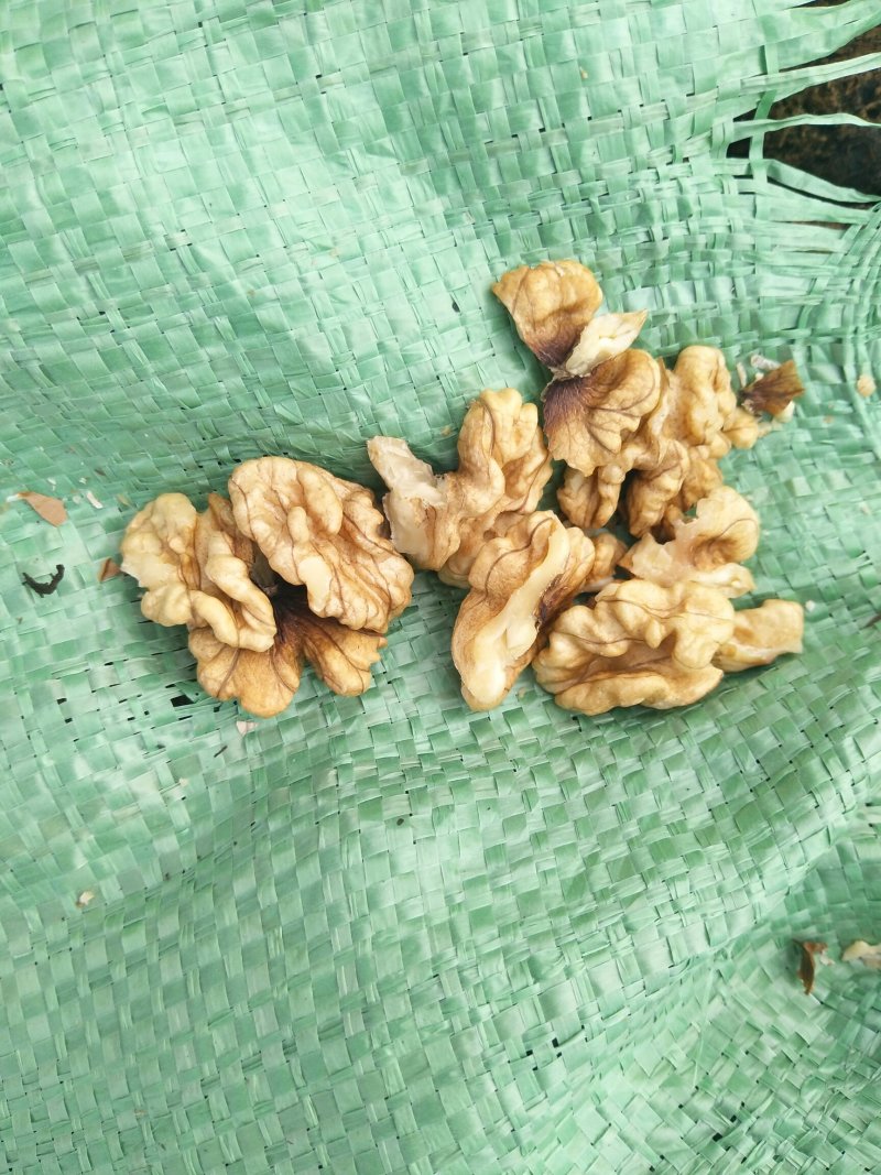 云南大理漾濞优质天然核桃