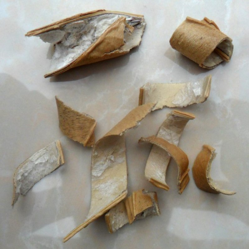 刀豆壳中药材刀豆壳刀豆壳豆荚壳刀豆衣魔豆壳