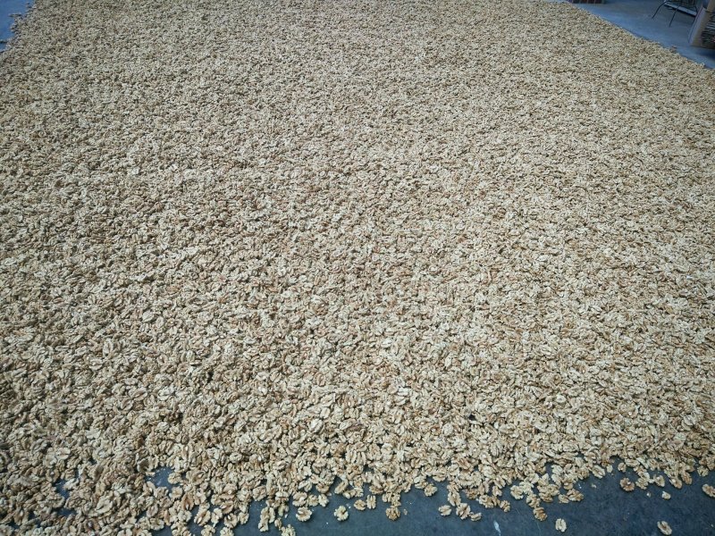 185核桃仁，185尖普白头路核桃仁