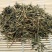 焊菜蔊菜中药材汉菜天然纯新货江剪刀草山芥菜