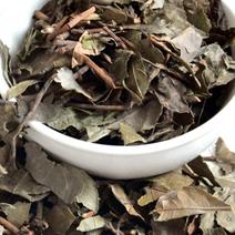 平地木矮地茶可打粉各种规格批发零售中药材