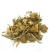 灯笼草中药材灯笼草打卜草打额泡天泡草黄灯笼黄